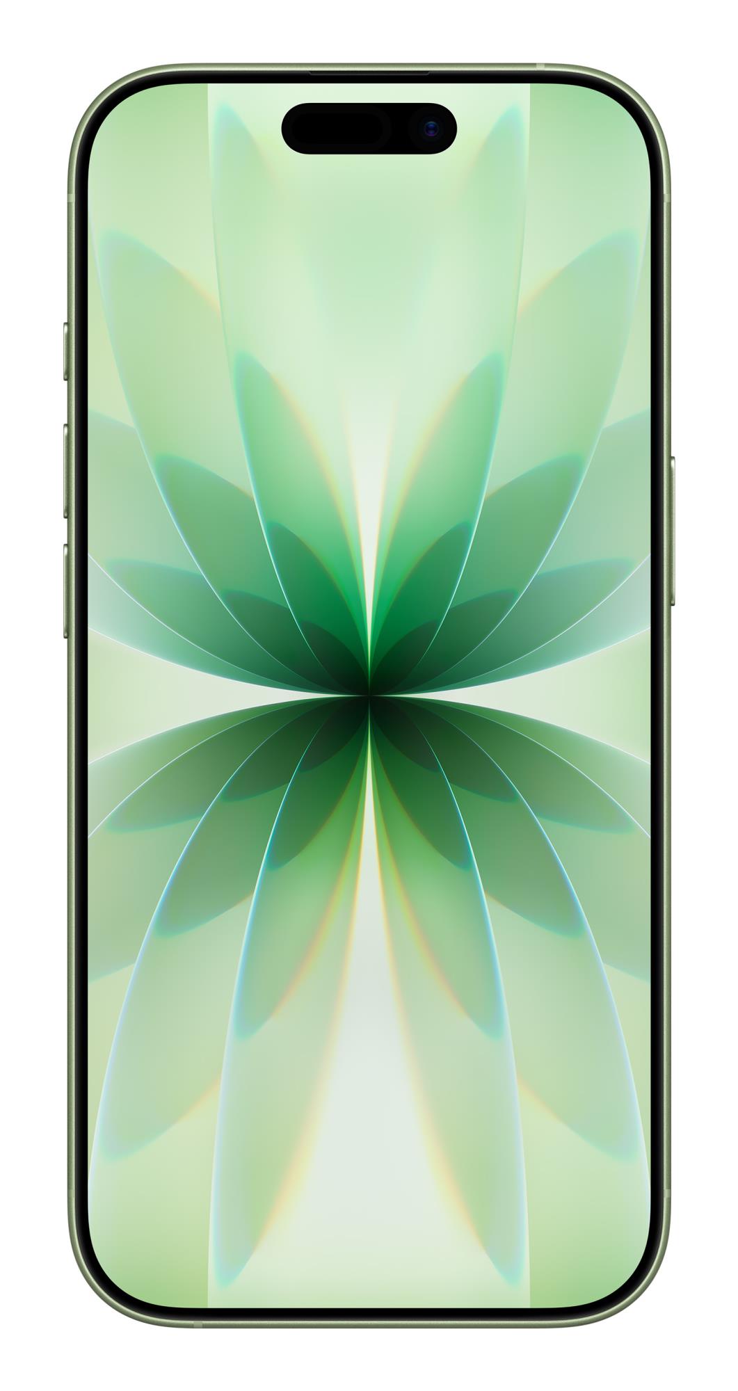 APPLE Mobile Phone Iphone 17/256GB Sage MG6N4 (MG6N4HX/A) - Kuva 2